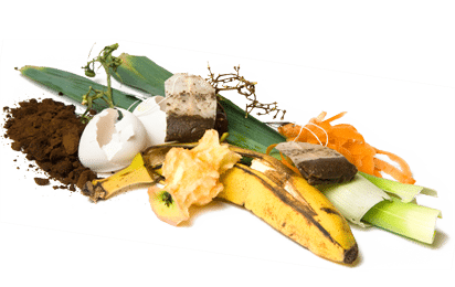 como-hacer-compost-gardeneas-materiales