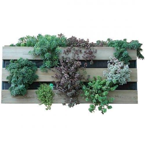 huerto-mesas-cultivo-jardin-vertical-gardeneas-01