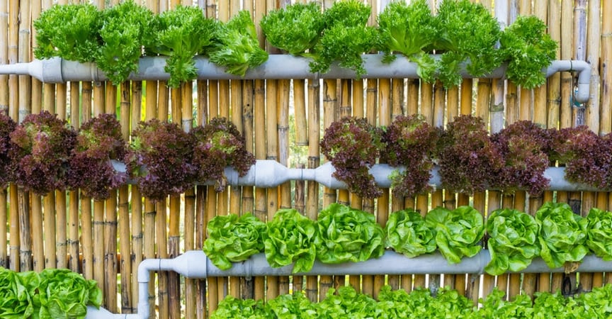 huertos-urbanos-tuberias-gardeneas