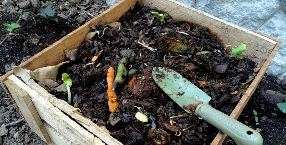 como-hacer-compost-gardeneas-compostaje