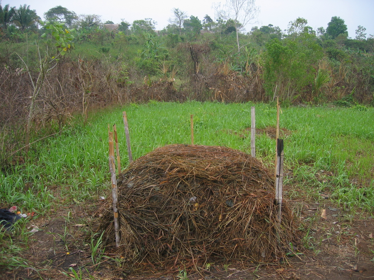 como-hacer-compost-gardeneas-monton