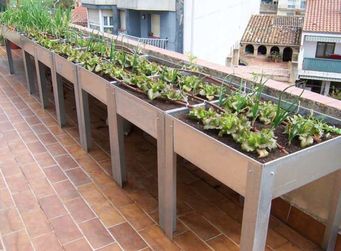 guía-huerto-urbano-balcón-gardeneas