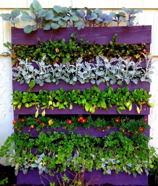 jardin-vertical-gardeneas-agua