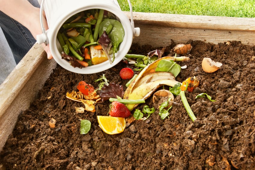 diccionario-jardineria-gardeneas-compost