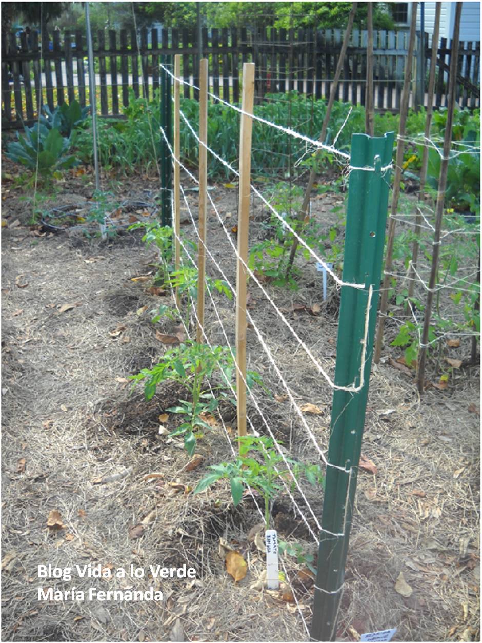 diccionario-jardineria-gardeneas-empalizamiento