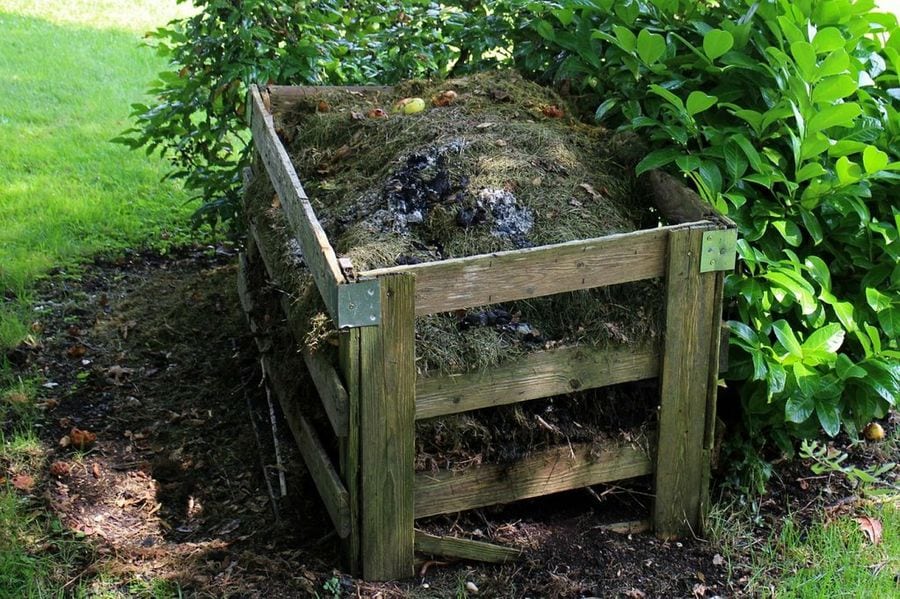 diccionario-jardineria-gardeneas-enmendar