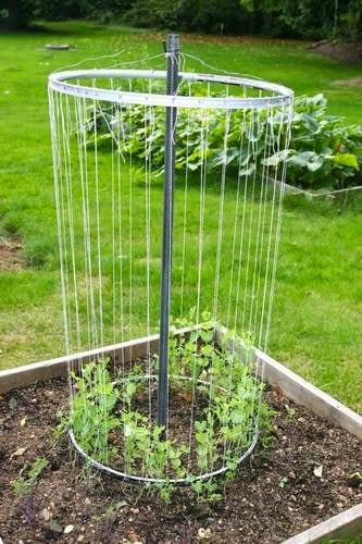 diccionario-jardineria-gardeneas-entutorar