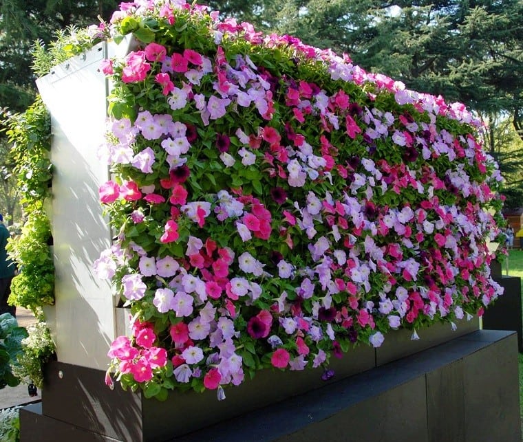 jardin-vertical-gardeneas-plantas