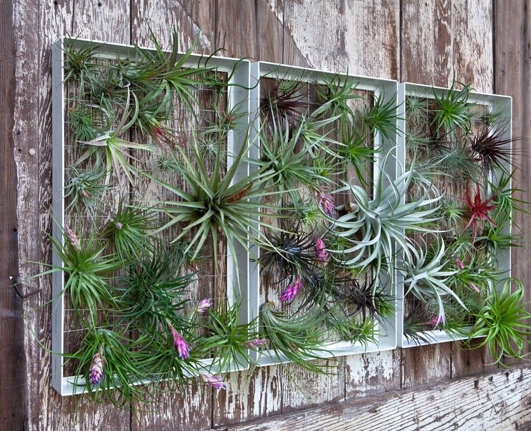 jardin-vertical-gardeneas-temperatura