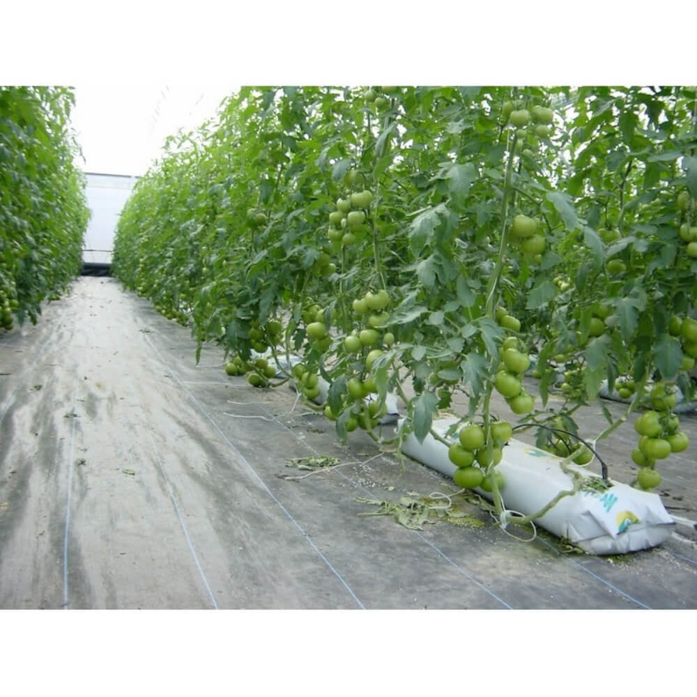 Malla-antihiberba-jardín-cultivo-jardinería-agricultura