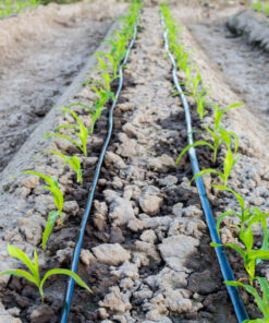tubería-agrícola-poletileno