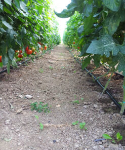 tubería-agrícola-poletileno