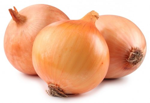 cebollas para cultivar en diciembre en casa