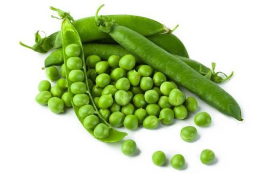 guisantes para cultivar en diciembre en casa