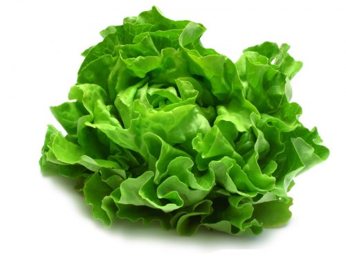 Verduras para sembrar en diciembre en casa