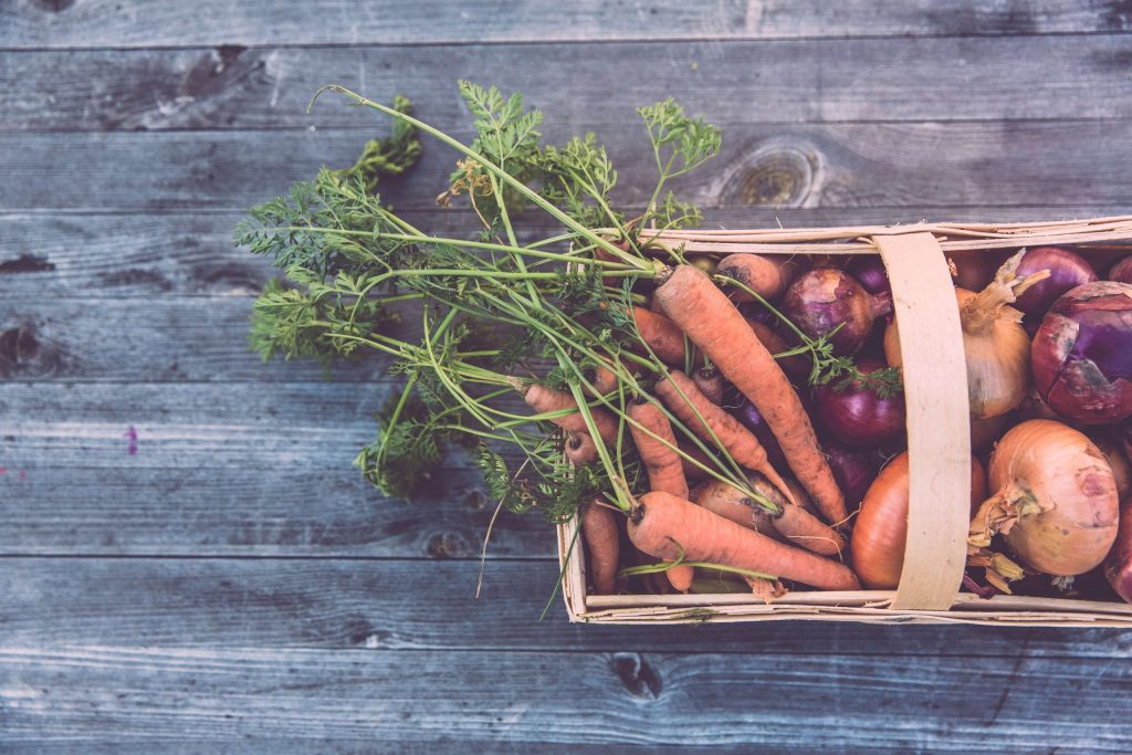 verduras que puedes sembrar en diciembre
