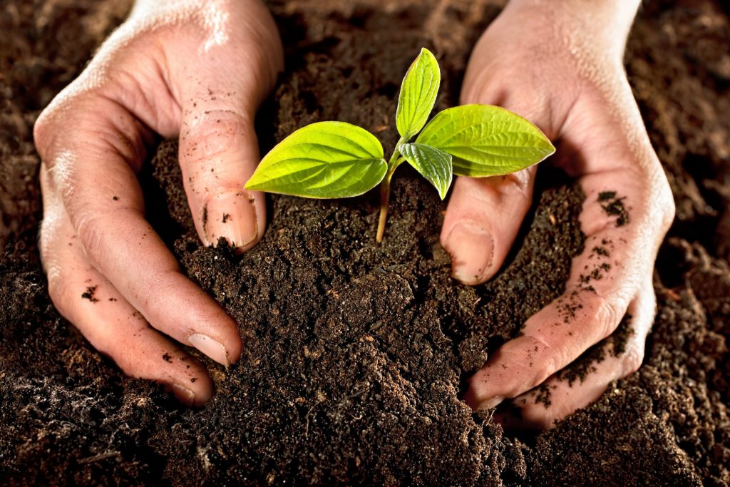 como-hacer-compost-gardeneas