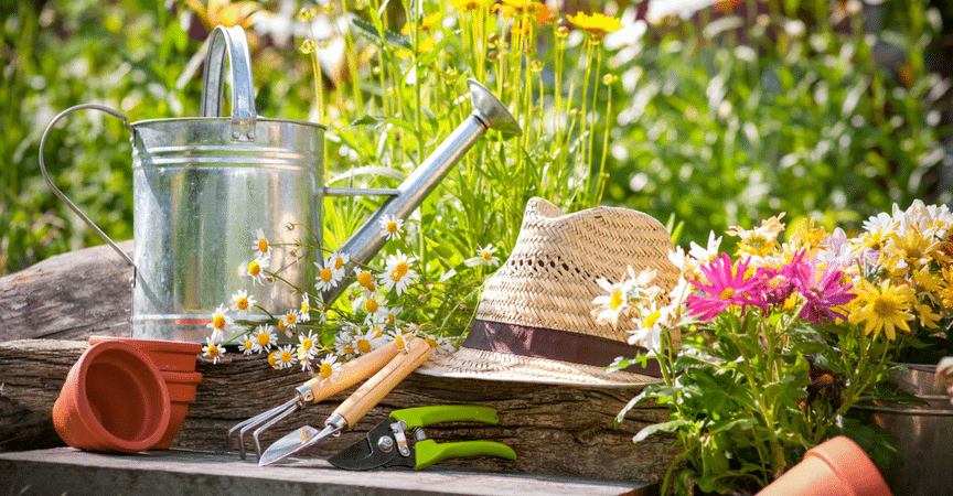 diccionario-jardineria-gardeneas-portada