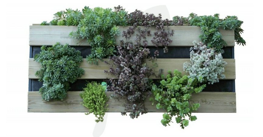 4-cosas-jardin-vertical-portada