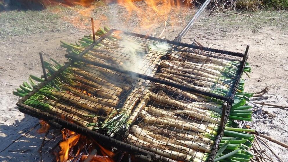 calcotada catalana