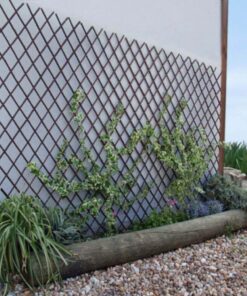 Celosías-decorativa-de-exterior-de-mimbre-extensible