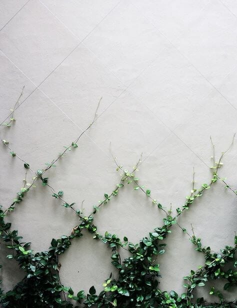 Ideas decoracion valla jardin 3 Ideas decoracion valla jardin 3