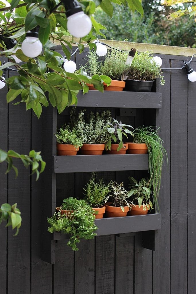 Ideas decoracion valla jardin 6 Ideas decoracion valla jardin 6