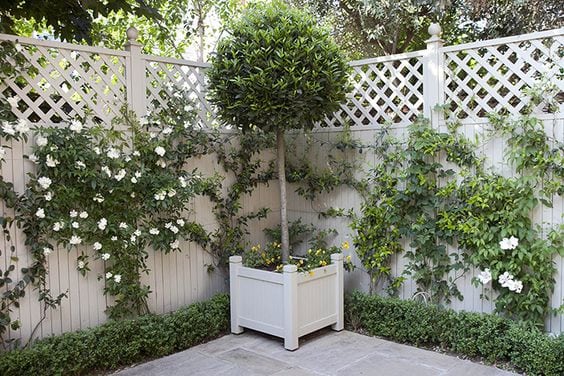 Ideas decoracion jardin guardian uk Ideas decoracion jardin guardian uk