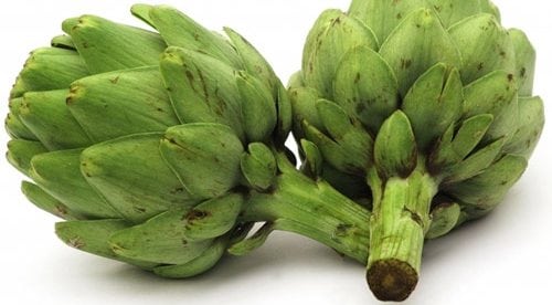 que plantar en marzo alcachofa