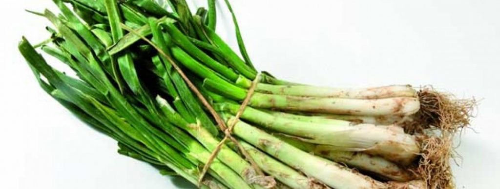 que plantar en marzo calcots
