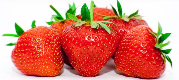 que plantar en marzo fresas