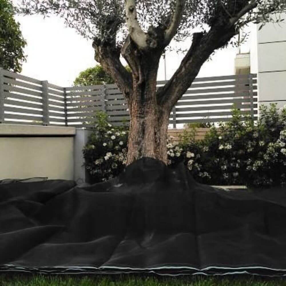 Manto-para-recoger-aceitunas-agricultura Manto-para-recoger-aceitunas-agricultura