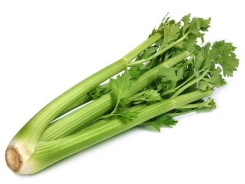 vegetales para plantar en mayo junio apio vegetales para plantar en mayo junio apio