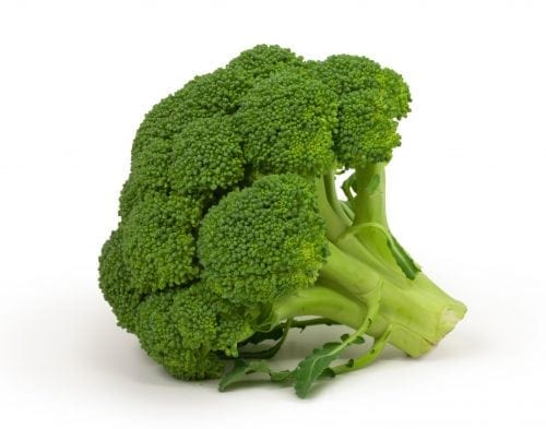 vegetales para plantar en mayo junio brocoli vegetales para plantar en mayo junio brocoli
