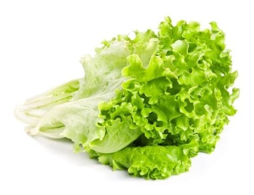 vegetales para plantar en mayo junio lechuga vegetales para plantar en mayo junio lechuga