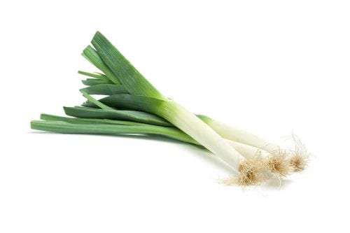 vegetales para plantar en mayo junio puerro vegetales para plantar en mayo junio puerro