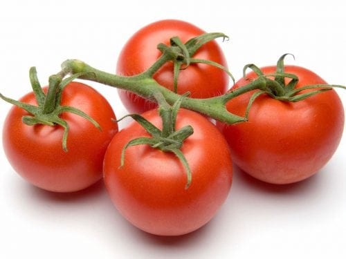vegetales para plantar en mayo junio tomate