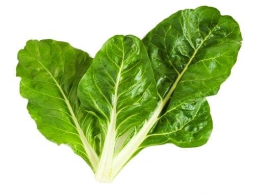 vegetales para plantar en mayo y junio acelga vegetales para plantar en mayo y junio acelga