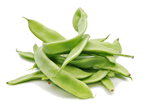vegetales para plantar en mayo junio judías vegetales para plantar en mayo junio judías