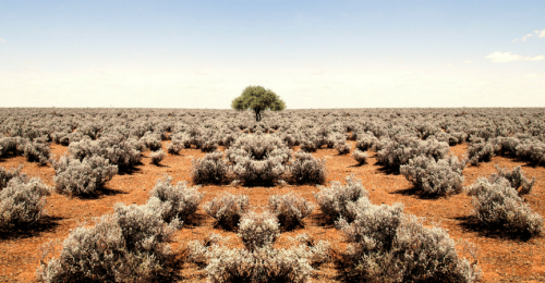 riego-cultivos-norte-sur-españa-gardeneas-cambio-climático-sector-agrario riego-cultivos-norte-sur-españa-gardeneas-cambio-climático-sector-agrario
