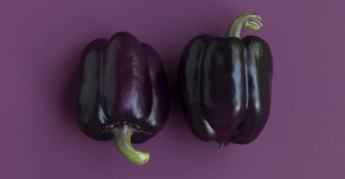 Qué-cultivar-en-agosto