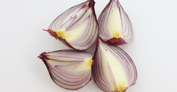 Qué-cultivar-en-agosto