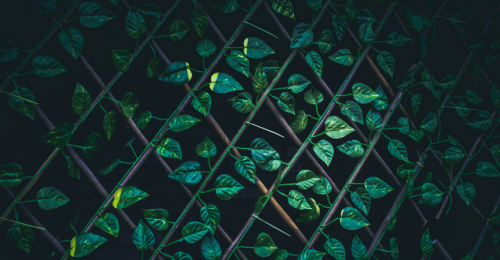 setos-celosías-separación-ocultación-antiUV-intimidad-privacidad-jardín-terraza