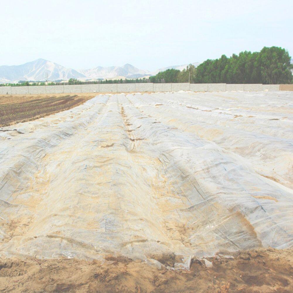 Plástico-siembra-huerto-invernadero-cultivo-natural-agrcicultura Plástico-siembra-huerto-invernadero-cultivo-natural-agrcicultura