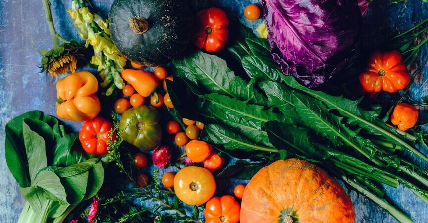 cultivar-verduras-otoño