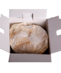 hongos-preparados-para-cultivar