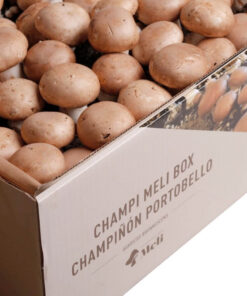 kit-autocultivo-champinon-paris-agaricus-brunnescens-gardeneas-6