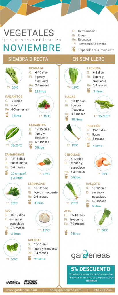 cuidados de verduras sembradas en noviembre