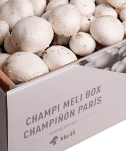kit-autocultivo-champinon-paris-agaricus-bisporis-gardeneas-4