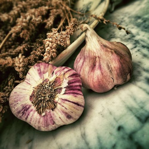 repele plagas en tu huerto con las plantas aromaticas